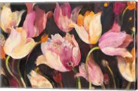 Popping Tulips Fine Art Print