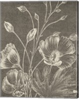 Botanical Beauty Chalk IX Crop Fine Art Print