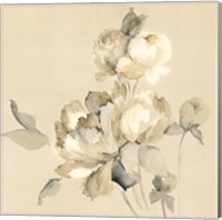 Peony Blossoms Crop Fine Art Print