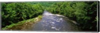 River Passing through a Forest, Pigeon River, Cherokee National Forest, Tennessee Fine Art Print