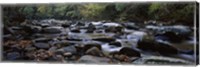Rocks in a River, Great Smoky Mountains National Park, Tennessee Fine Art Print