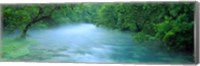 Creek flowing through a Forest, Ozark National Scenic Riverways, Ozark Mountains, Missouri Fine Art Print