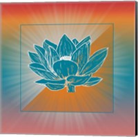 Lotus Blossom Fine Art Print