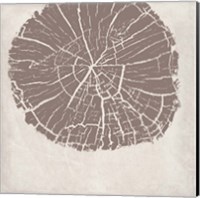 Tree Stump Taupe Reverse Fine Art Print