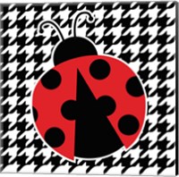 Ladybug IV Fine Art Print