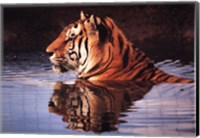 Tiger Reflection Fine Art Print