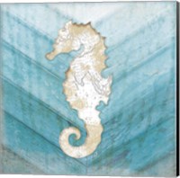 Coastal Seahorse Fine Art Print