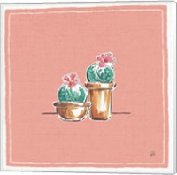 Desert Bloom XI Fine Art Print