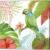 Treasures of the Tropics VII Fine Art Print