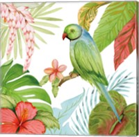 Treasures of the Tropics VII Fine Art Print