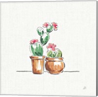 Desert Bloom VII Fine Art Print