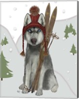 Husky Skiing Fine Art Print