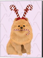 Pomeranian and Candy Canes Fine Art Print