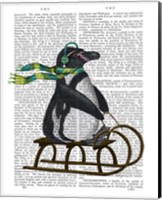 Penguin On Sled Fine Art Print