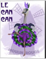 Ostrich, Can Can in Purple and Green Fine Art Print