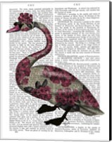 Azalea Swan Fine Art Print