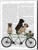 Pug Tandem Fine Art Print