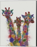 Rainbow Splash Giraffe Trio Fine Art Print