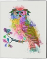 Rainbow Splash Owl Fine Art Print