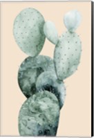 Cactus on Coral I Fine Art Print