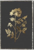Botanical Gold on Black II Fine Art Print