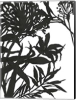 Monochrome Foliage I Fine Art Print