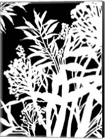 Monochrome Foliage IV Fine Art Print