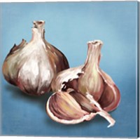 Garlic Fine Art Print