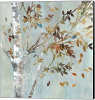 Birch with Leaves I Fine Art Print