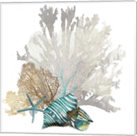 Coral Fine Art Print