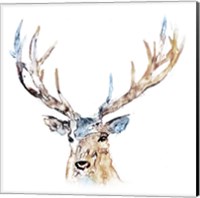 Watercolour Reindeer Fine Art Print