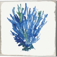 Blue and Green Coral III Fine Art Print