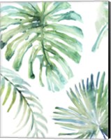 Palm Leaf Variation Fine Art Print