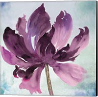 Tye Dye Floral I Fine Art Print
