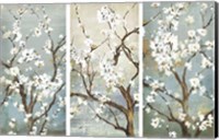 Triptych in Bloom Fine Art Print