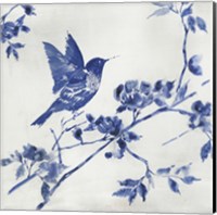 Porcelain Hummingbird Fine Art Print