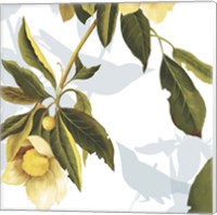 Lemon Floral Fine Art Print