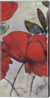 Red Poppy I Fine Art Print