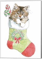 Christmas Kitties IV Fine Art Print