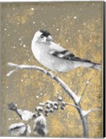 Winter Birds Goldfinch Neutral Fine Art Print