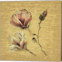 Magnolia Blossom on Gold Fine Art Print