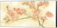 Tinted Blossoms II Fine Art Print