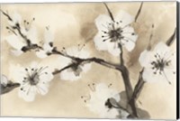 Spring Blossoms I Crop Fine Art Print