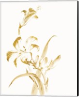 Sumi Daylily II Gold Fine Art Print