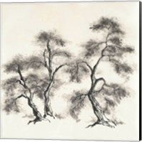 Sumi Tree III Fine Art Print