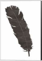 Black Feather V Fine Art Print