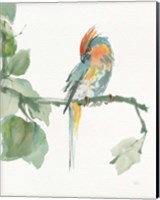 Crested Cockatoo v2 Fine Art Print