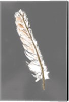 Gold Feathers II on Grey Fine Art Print