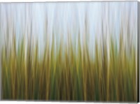 Seagrass Canvas Fine Art Print