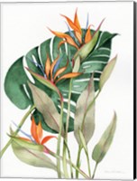 Botanical Birds of Paradise Fine Art Print